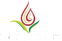 GCC Beige logo